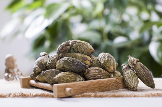 580224_20211130145101070060_0.jpg 580224_20211130145101070060_0.jpg